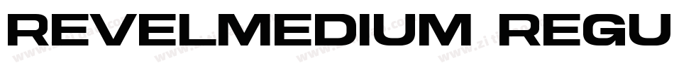 RevelMedium Regular字体转换